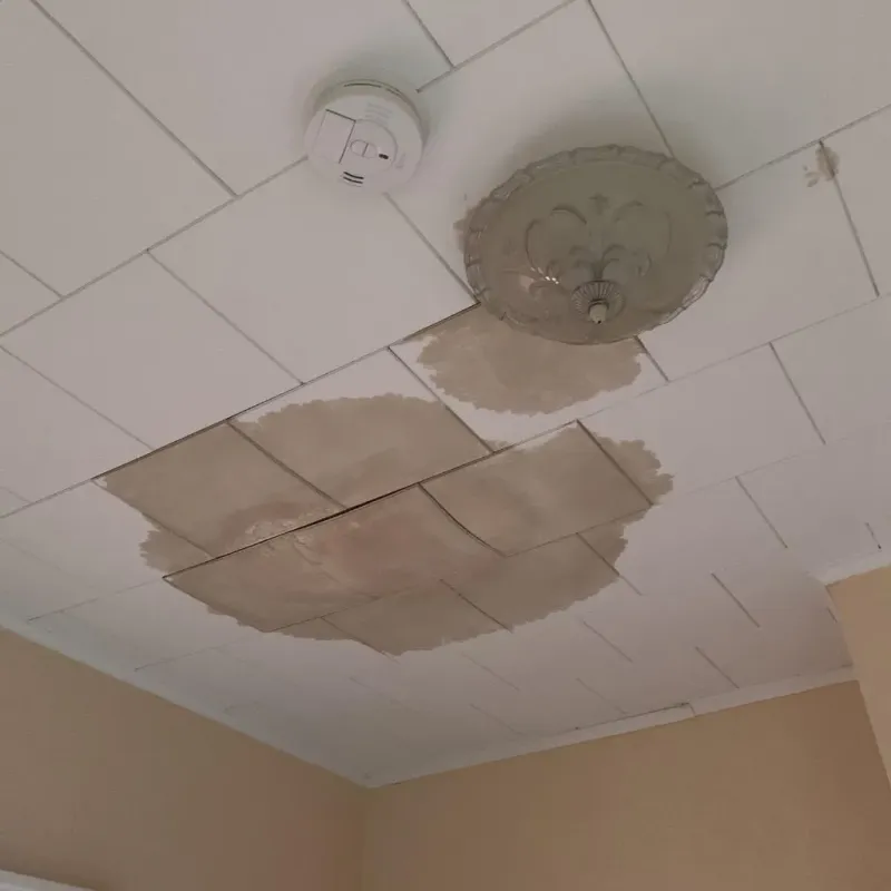 Ceiling Water Damage Repair in Calverton Park, MO
