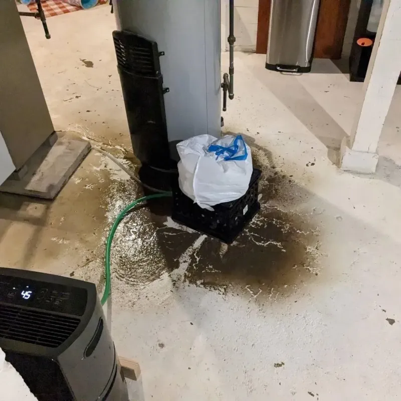 Sewage Backup Cleanup Service in Calverton Park, MO